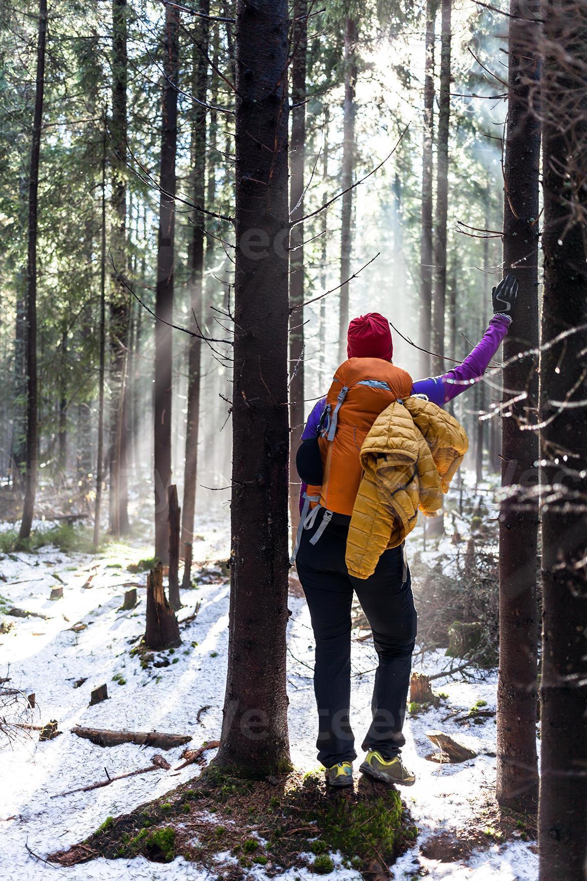 mujer senderismo en bosque de invierno foto