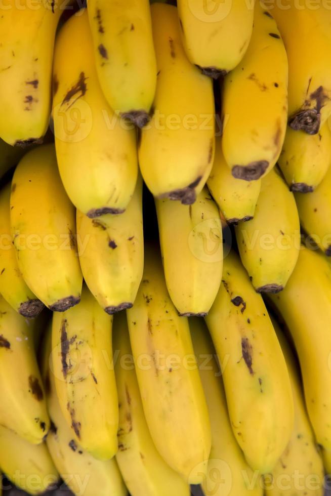 bananas foto