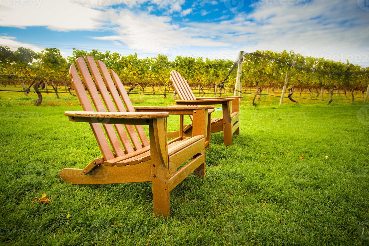 Chairs in Vineyard photo