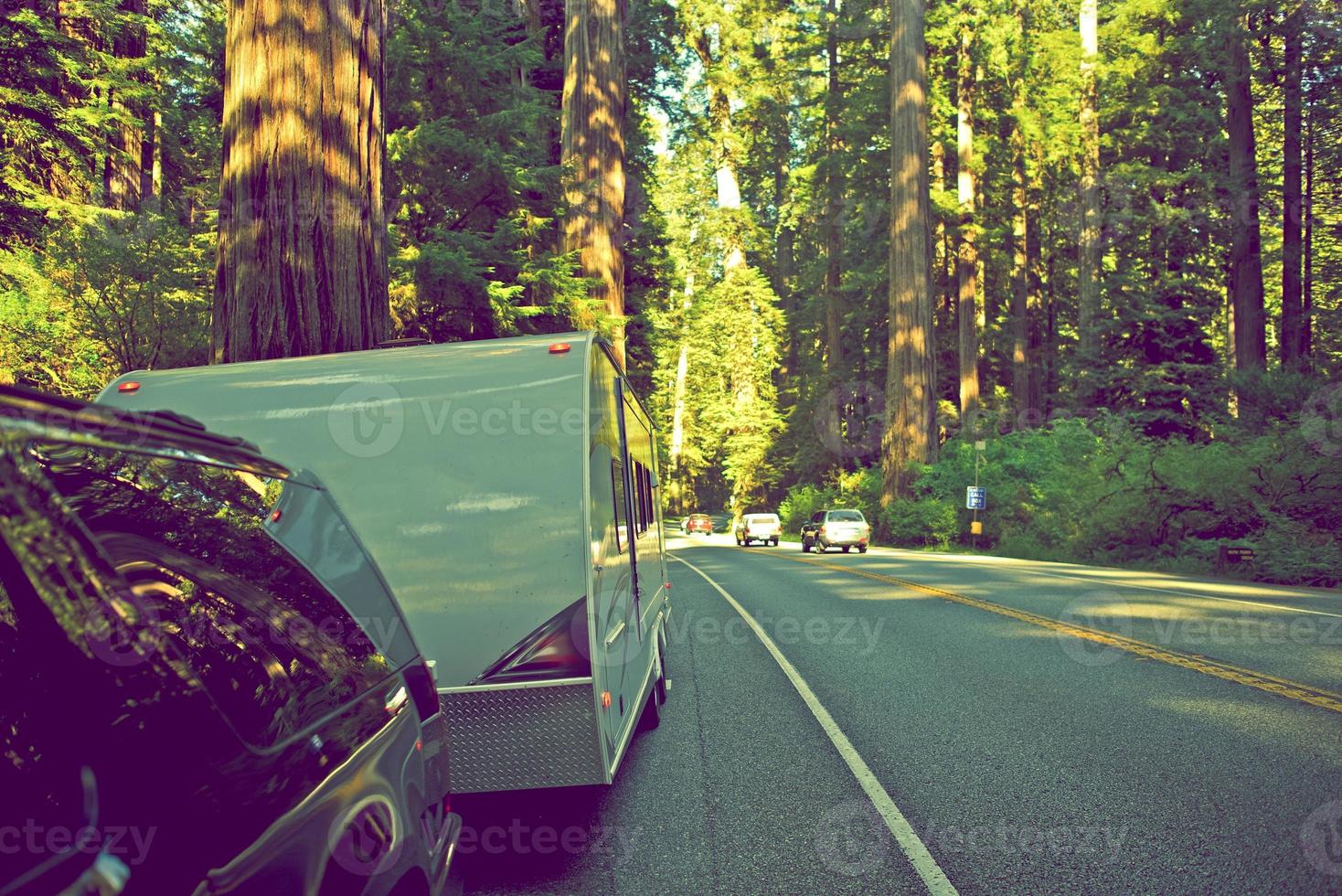 RV in Redwood Forest photo