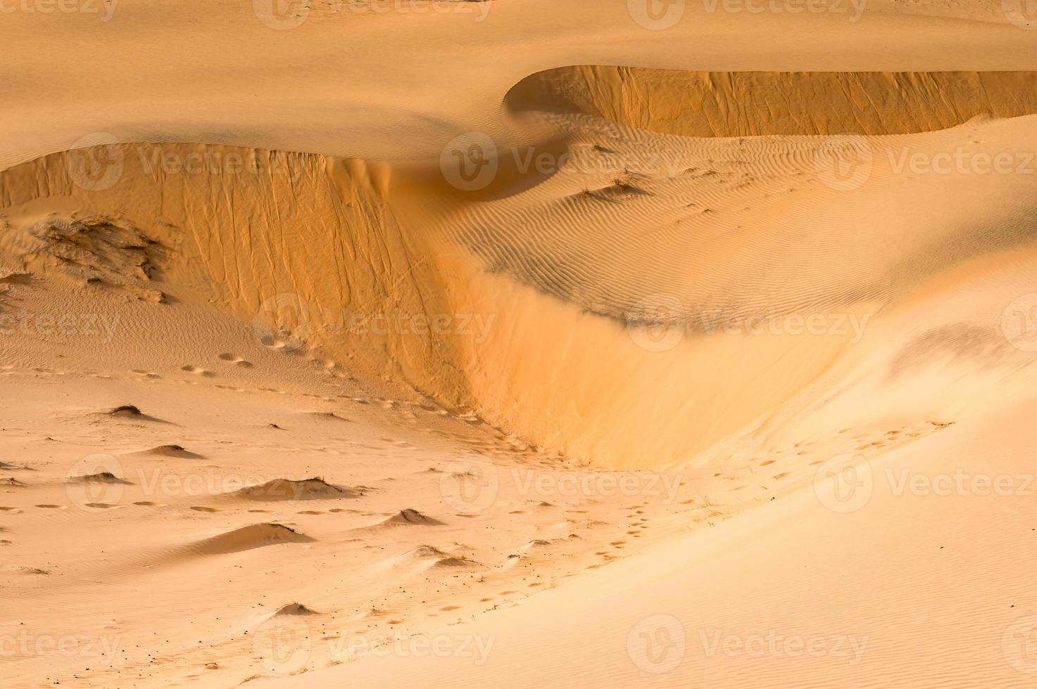 el desierto del Sahara foto