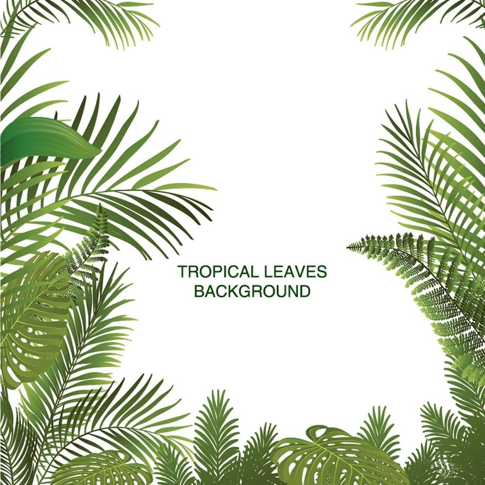 Print Tropical Leaves Background vector