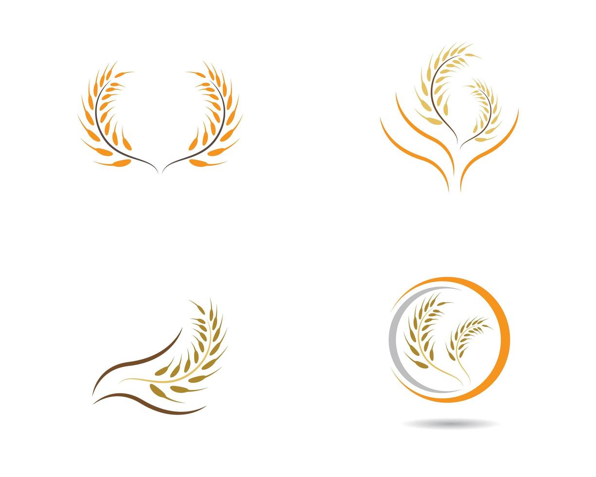 Wheat or Grain Icon Set vector