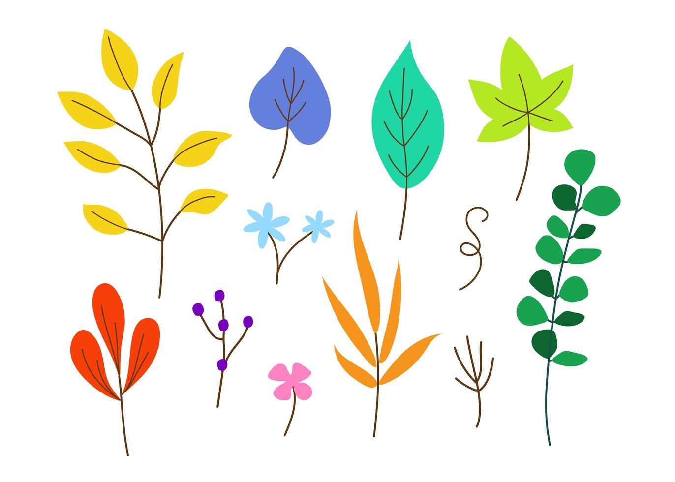 Collection of Colorful Leaves in Different Shapes vector