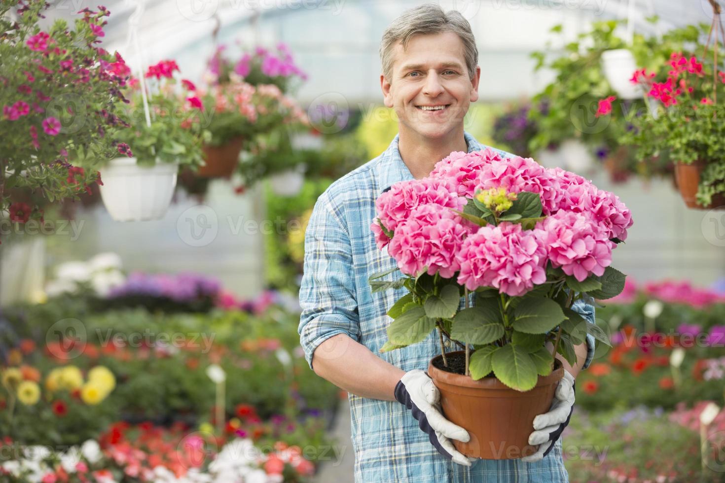 Portrait of happy gardener holding flower pot in greenhouse photo