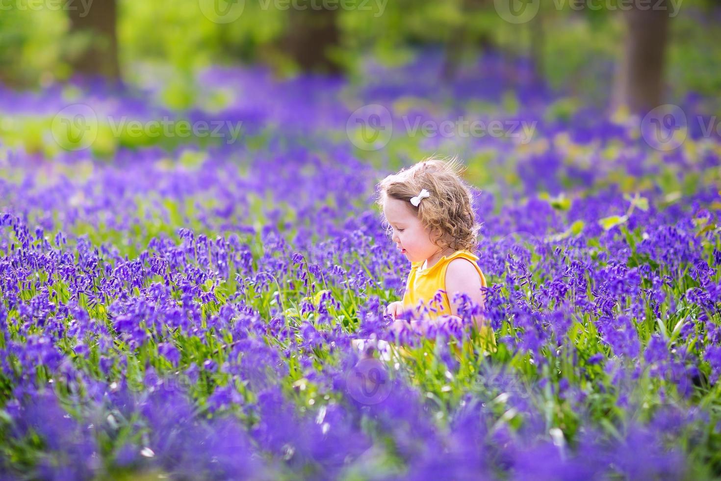 Adorable toddler girl in bluebell flowers on spring day photo
