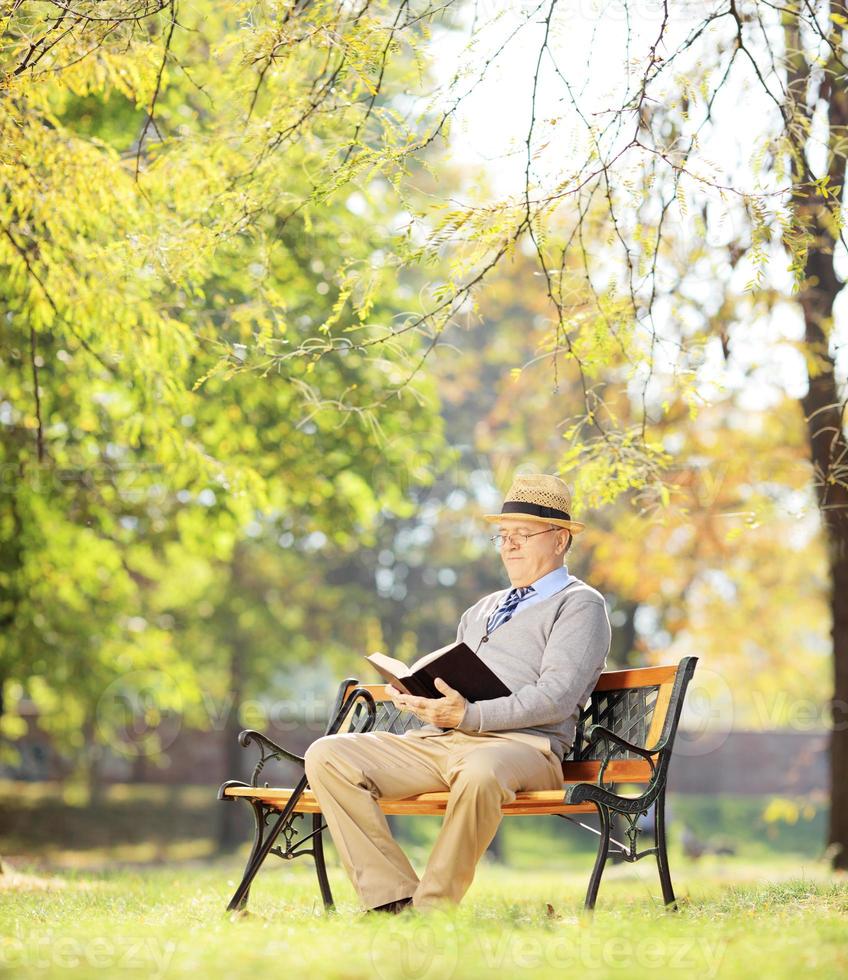 Senior man with sitting on bench and reading a novel photo