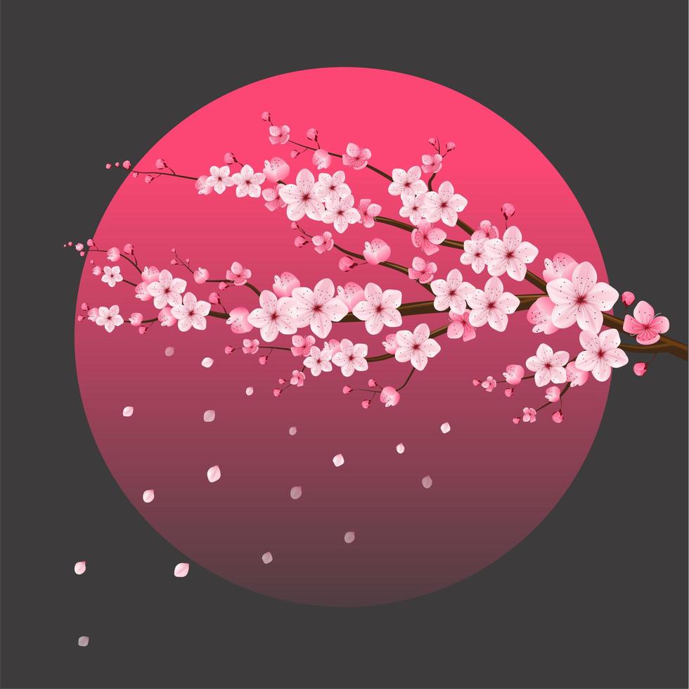 flor de cerezo sakura sobre luna vector