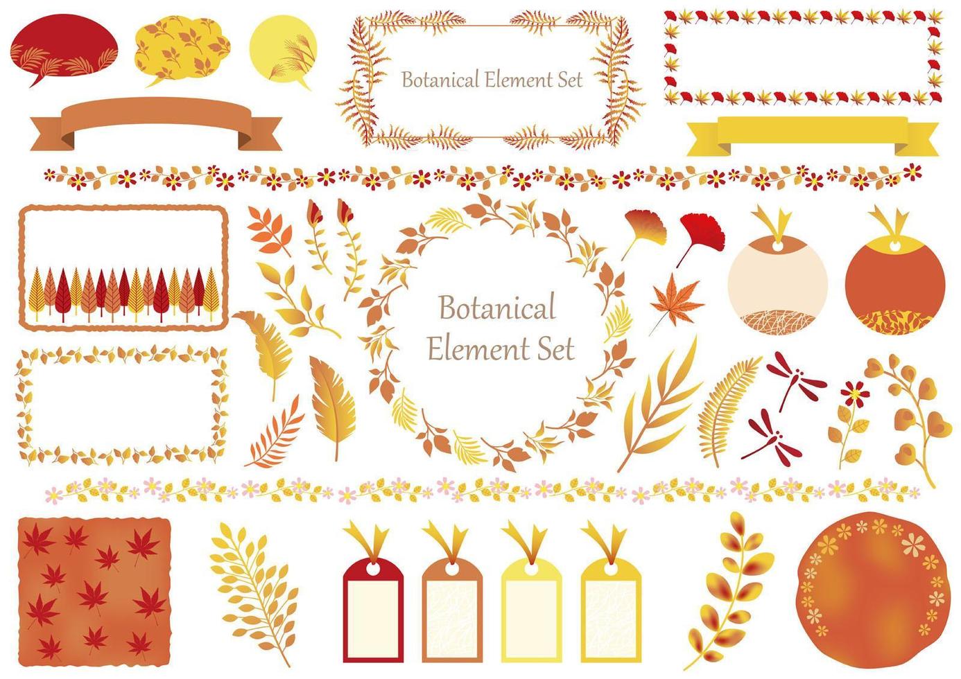 Set Of Orange and Yellow Botanical Elements vector