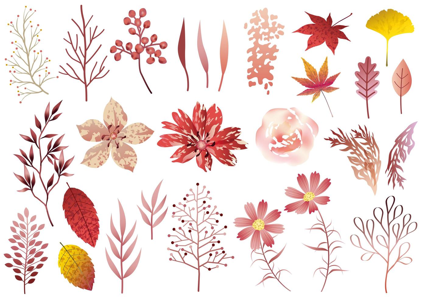 Set of Red Botanical Elements vector