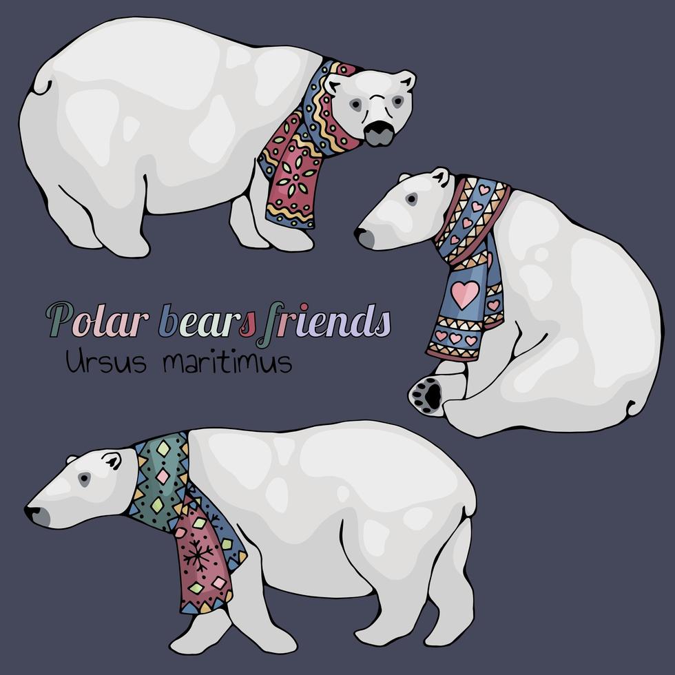 Polar Bears in Scarves Set vector