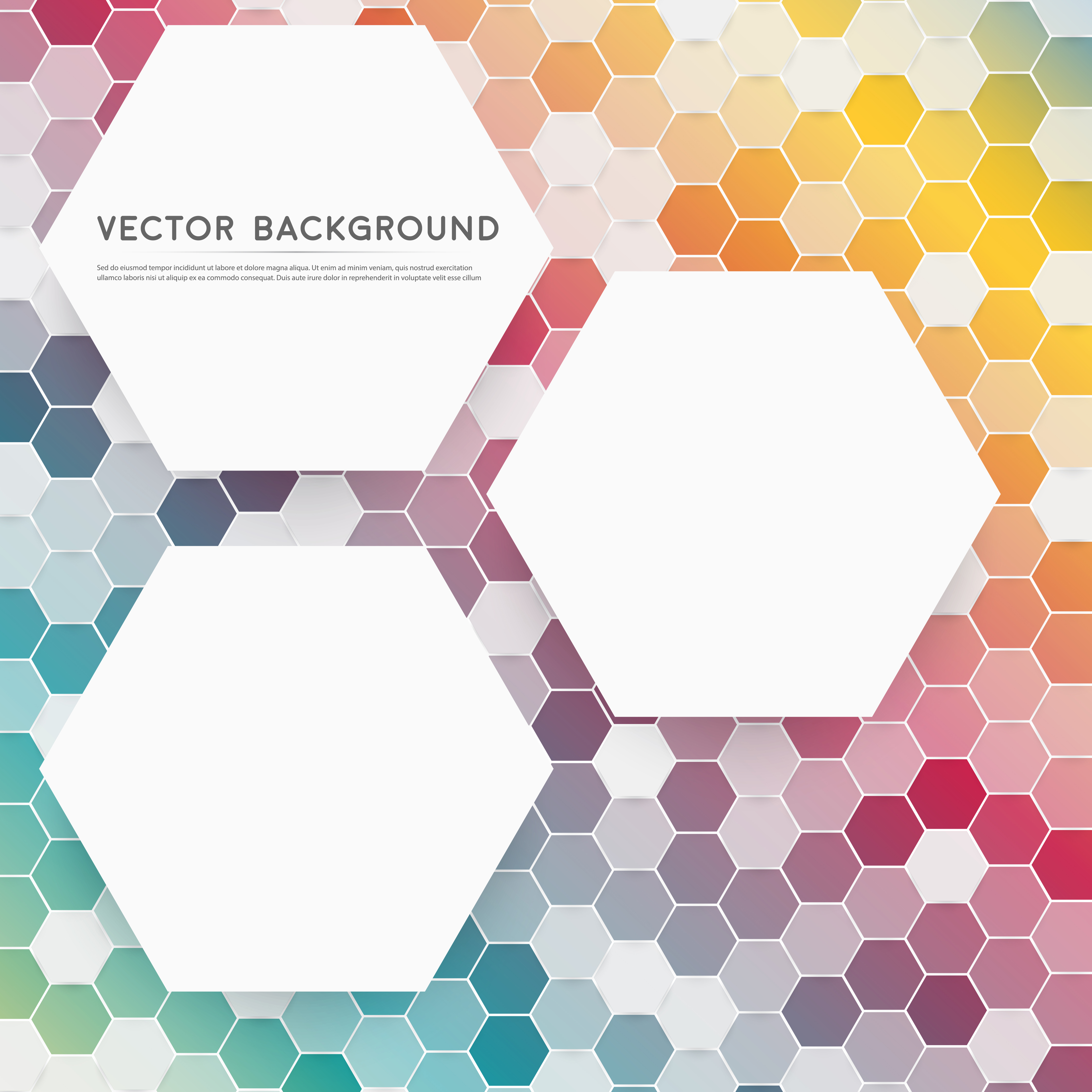 Colorful Hexagon Pattern with White Hexagons Download Free Vectors