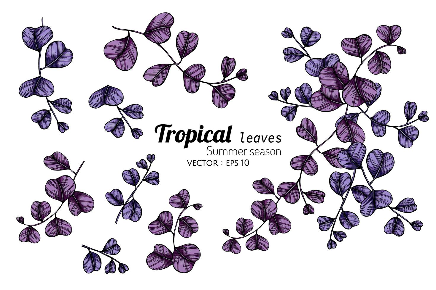 Set of Purple Tropical Leaves vector