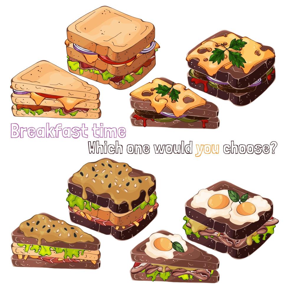 Sandwiches bread kinds vector