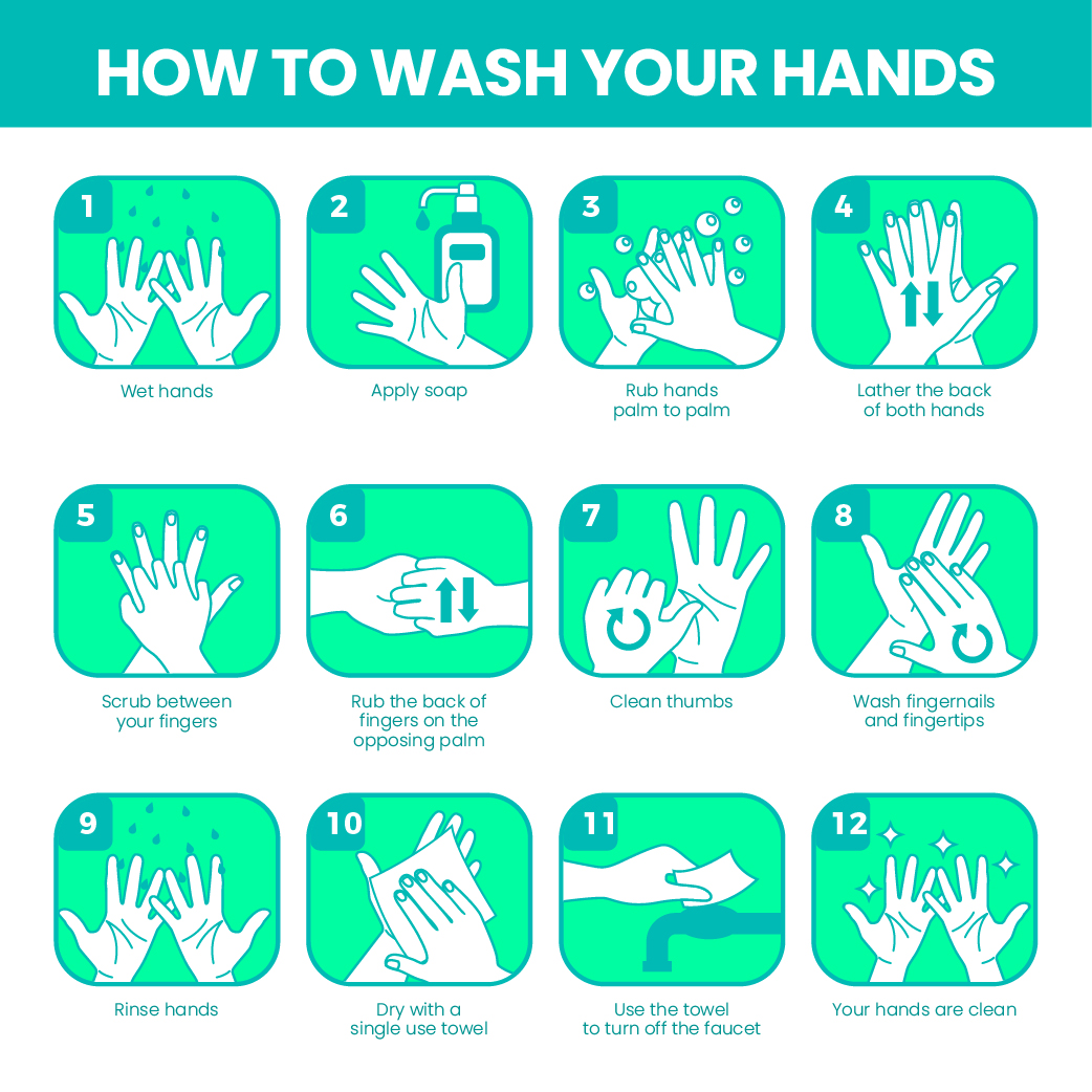 How to Wash Your Hands Diagram - Download Free Vectors, Clipart ...