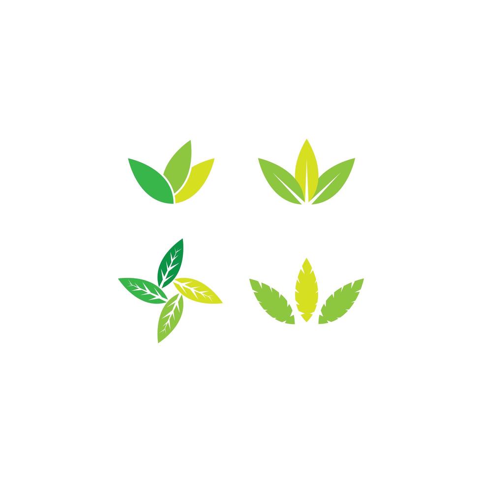 conjunto de iconos de hoja de árbol vector