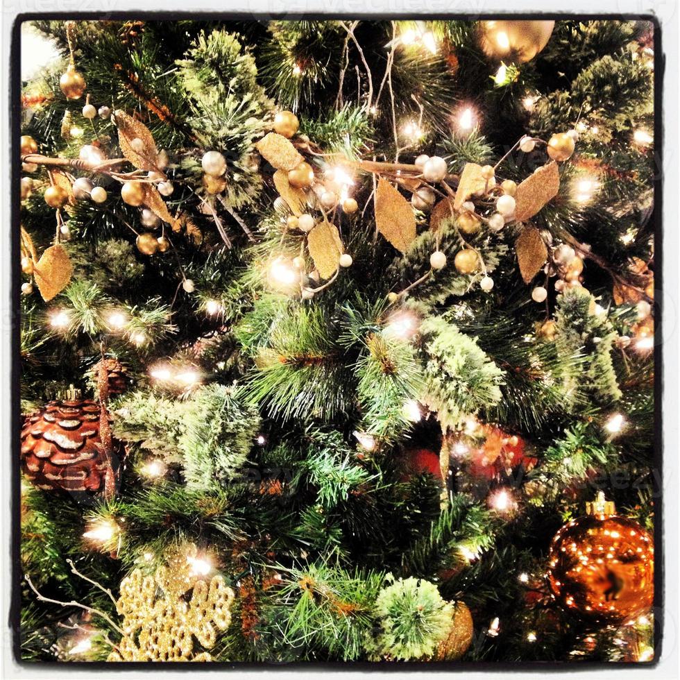 Christmas Tree Close-Up photo