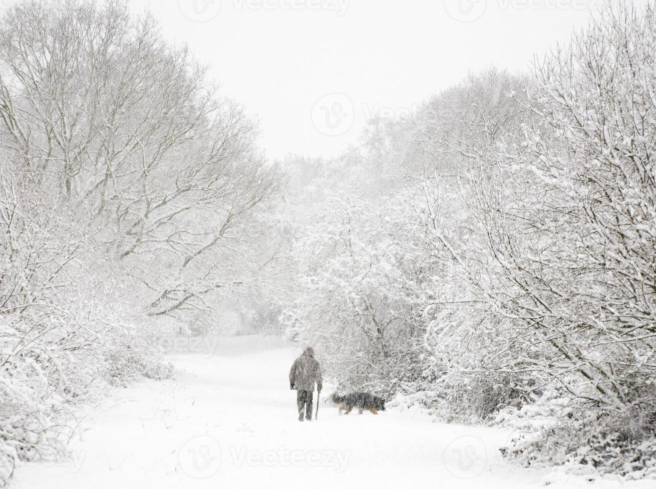 hombre y perro en la nieve foto