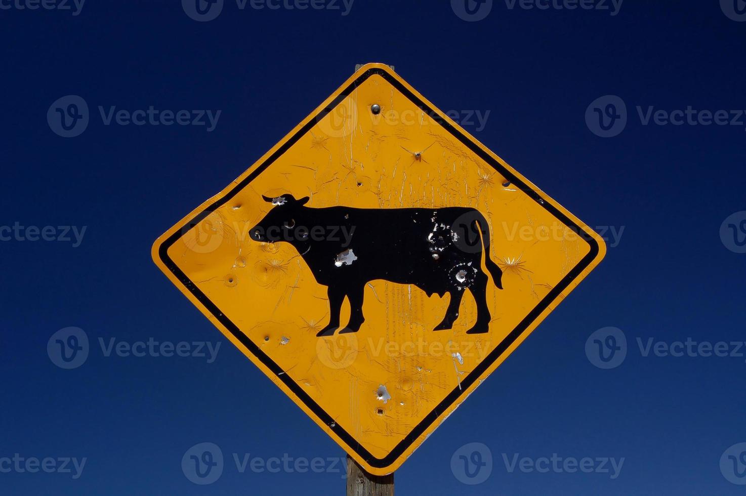 signo de vaca foto