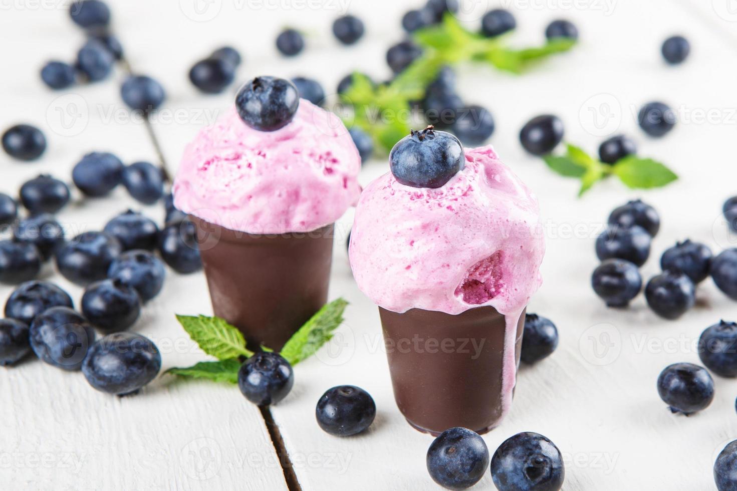blueberry ice cream or frozen yogurt and sprig of mint, photo