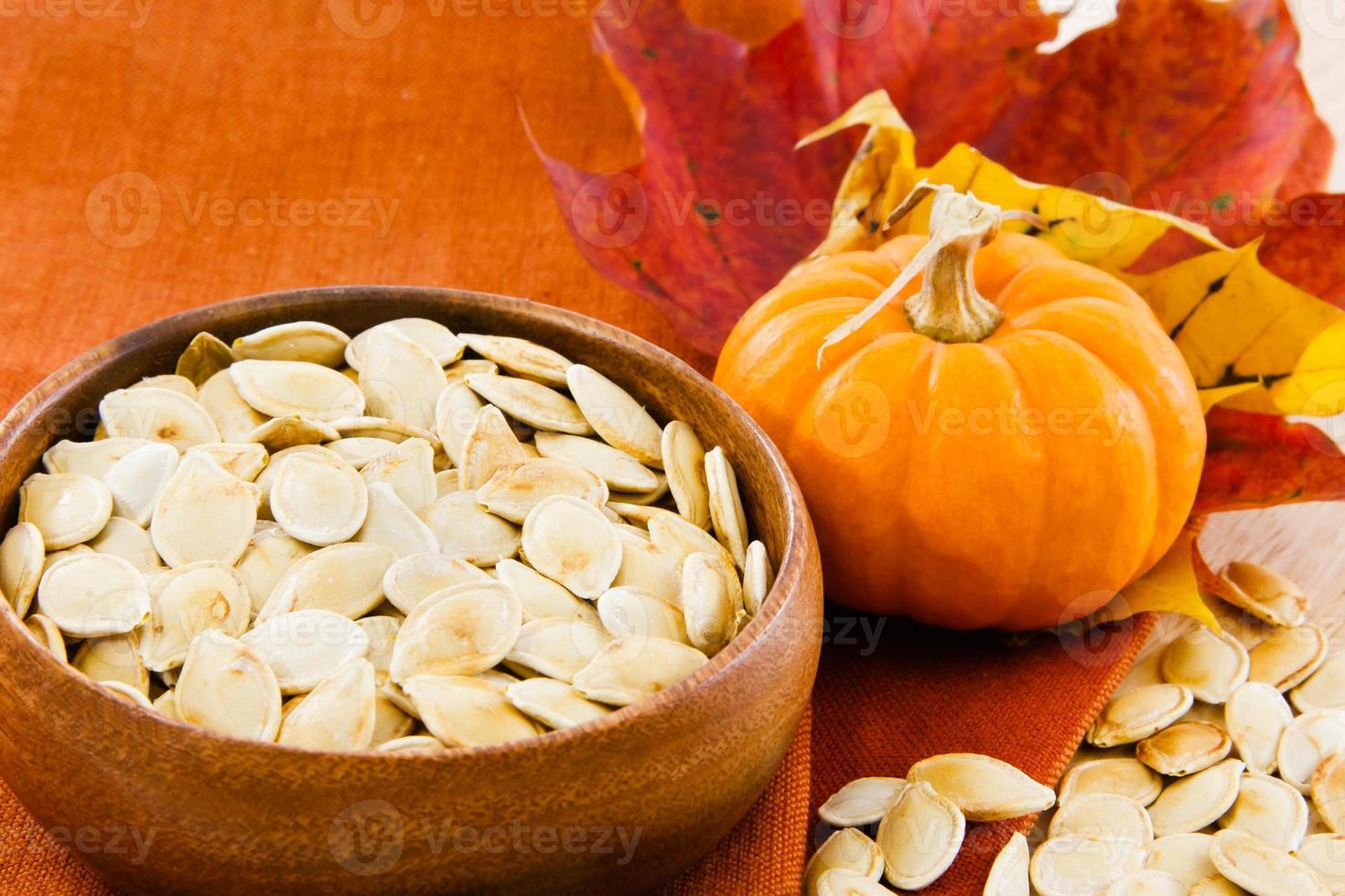 Horizontal image of pumpkin seeds with copy-space photo