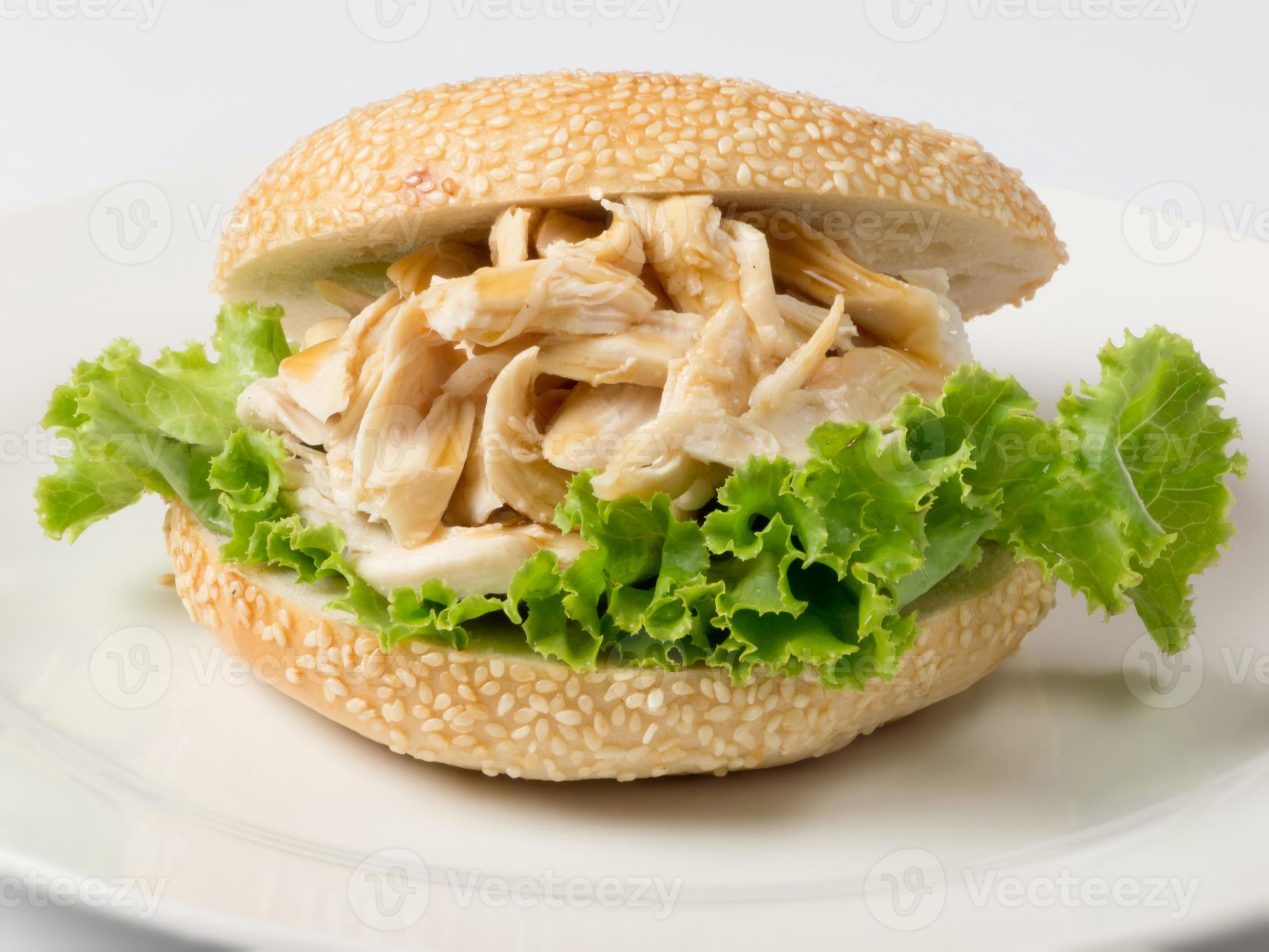 pulled pork sandwich 852751 Stock Photo at Vecteezy