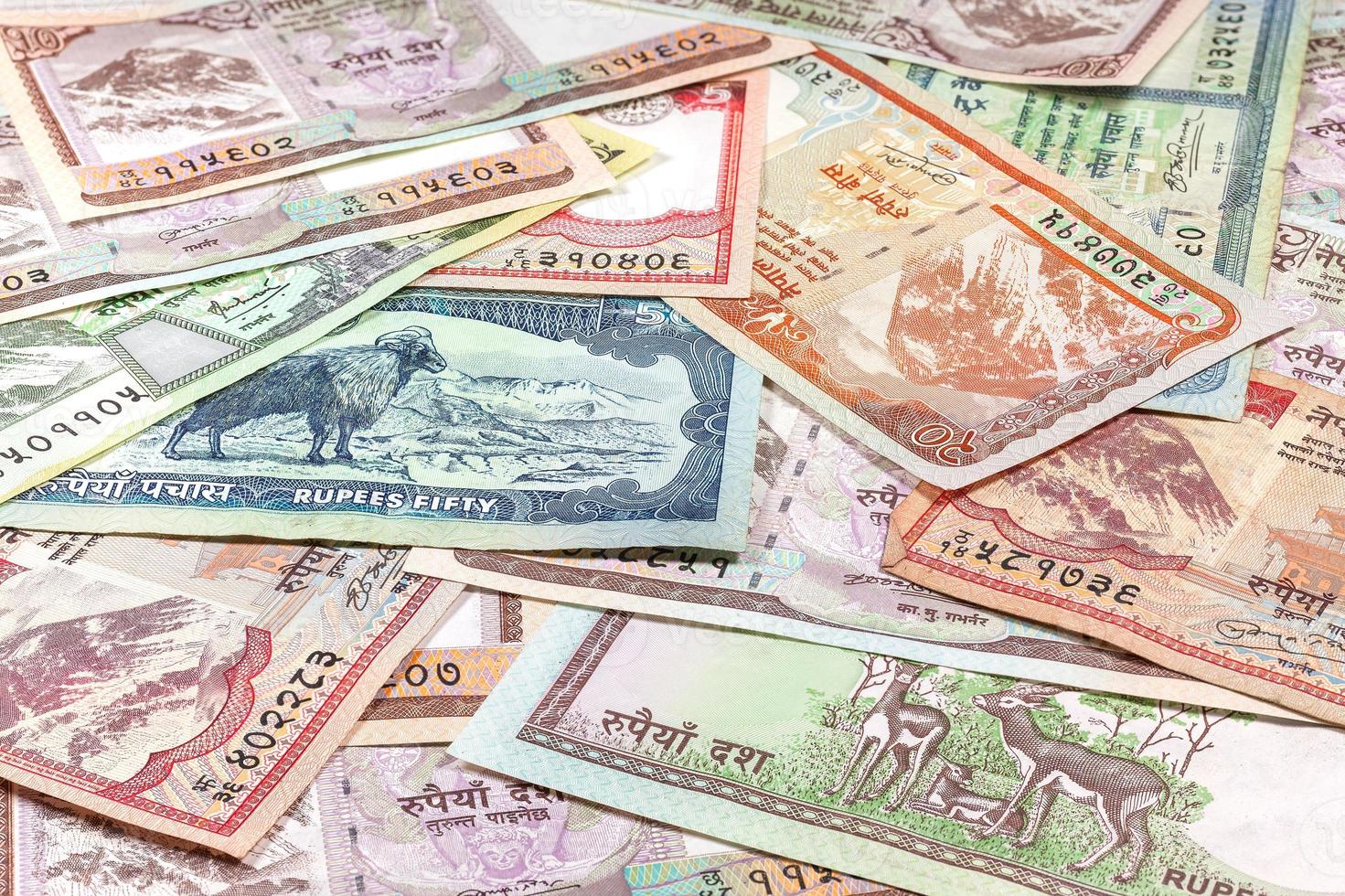 Money from Nepal, various Rupee banknotes. photo