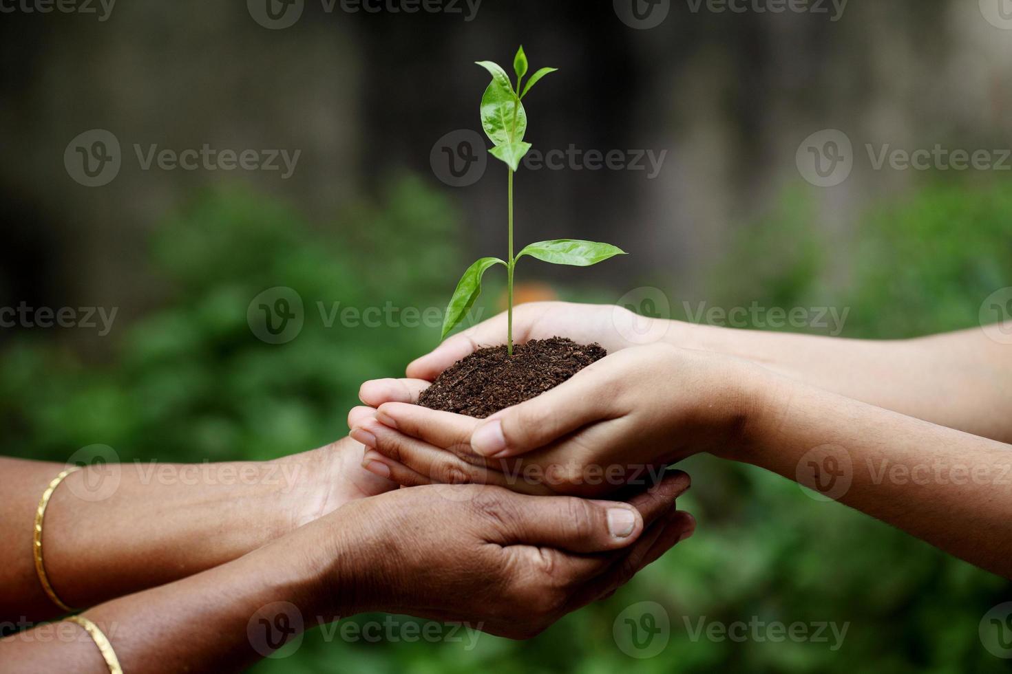 Holding a plant between hands photo