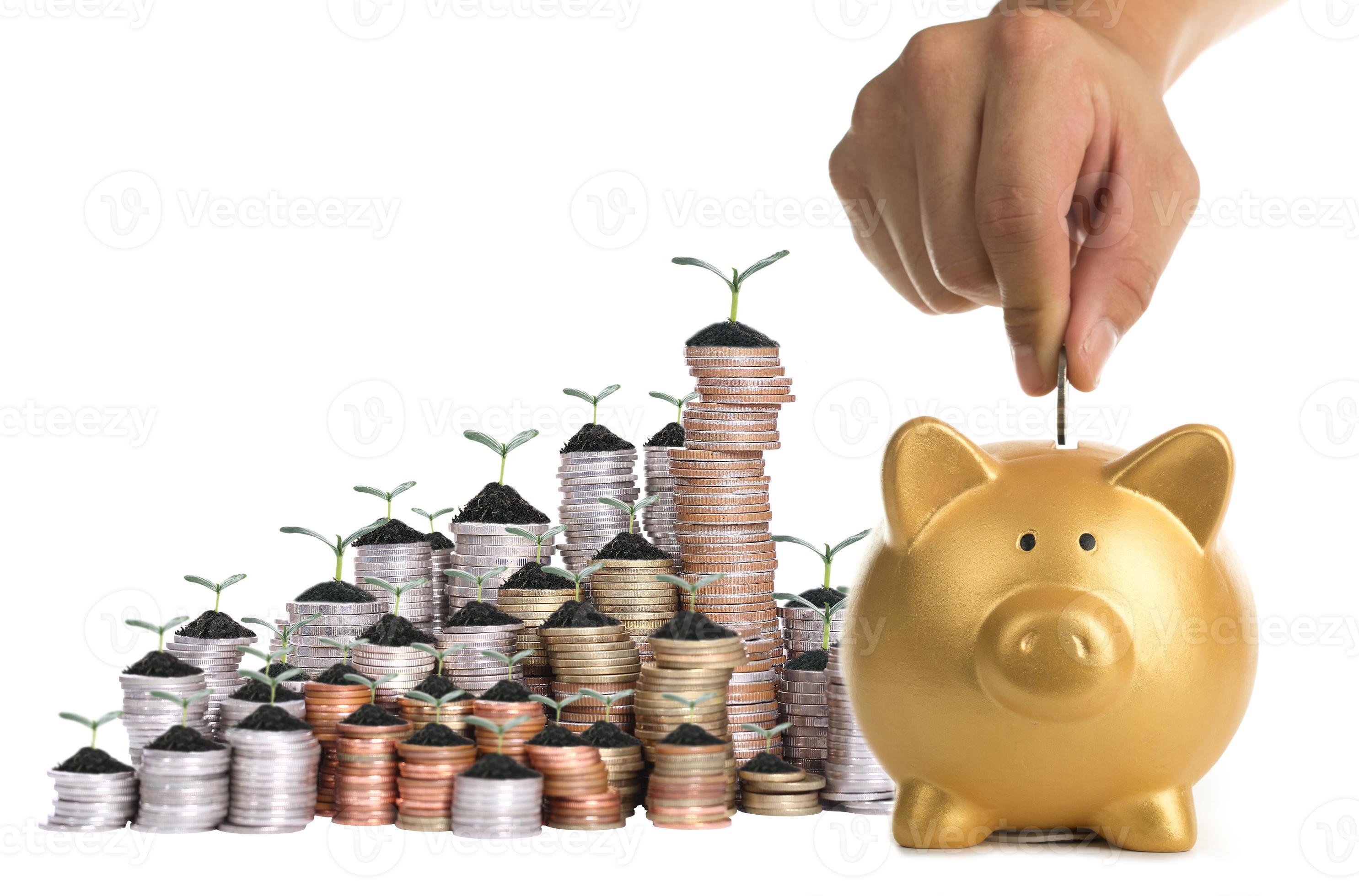 развитие финансиста. финансы, финансисты. цифровые технологии в финансовой сфере. финансы картинки. деньги это в экономике.