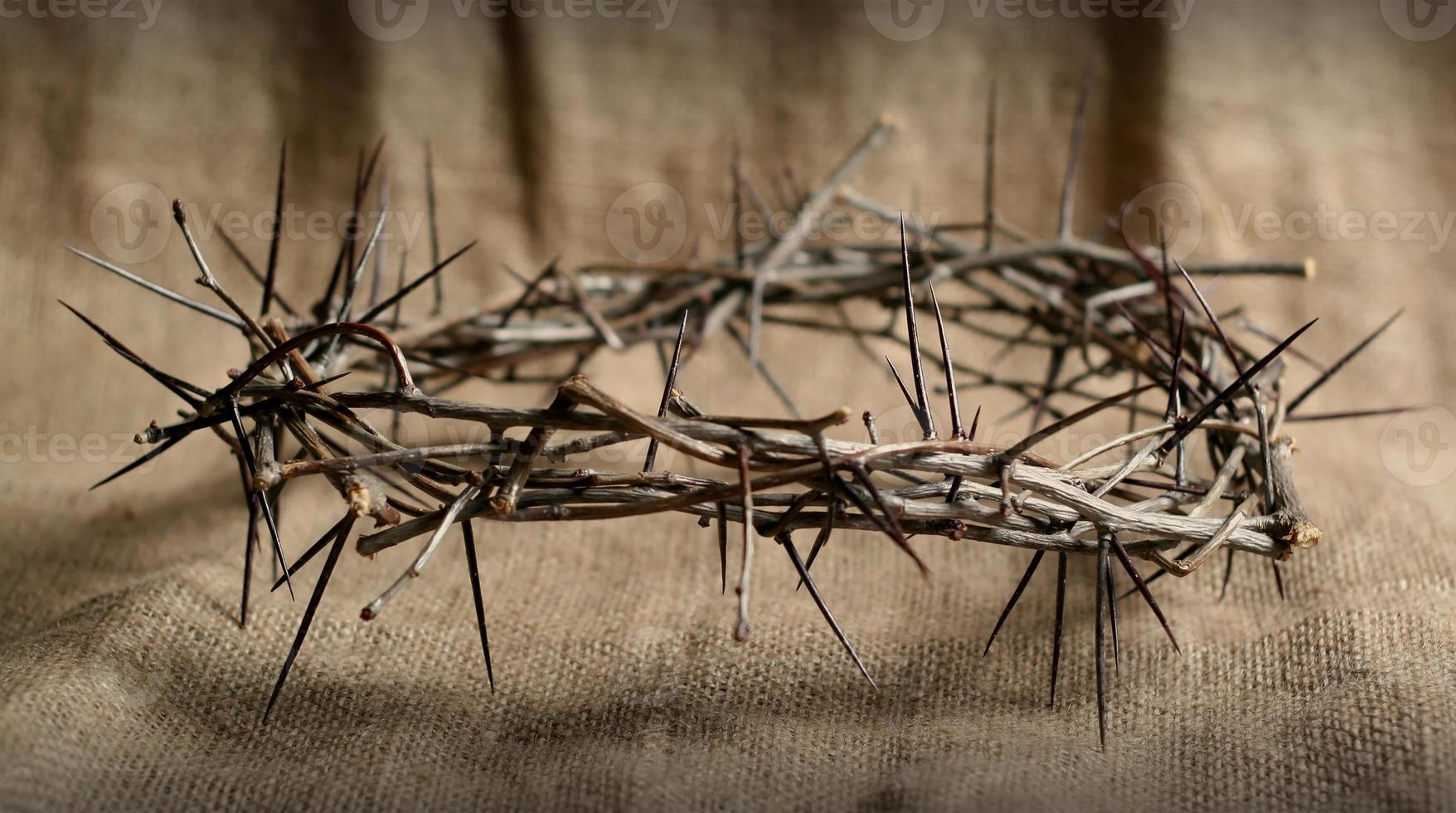crown of thorns photo