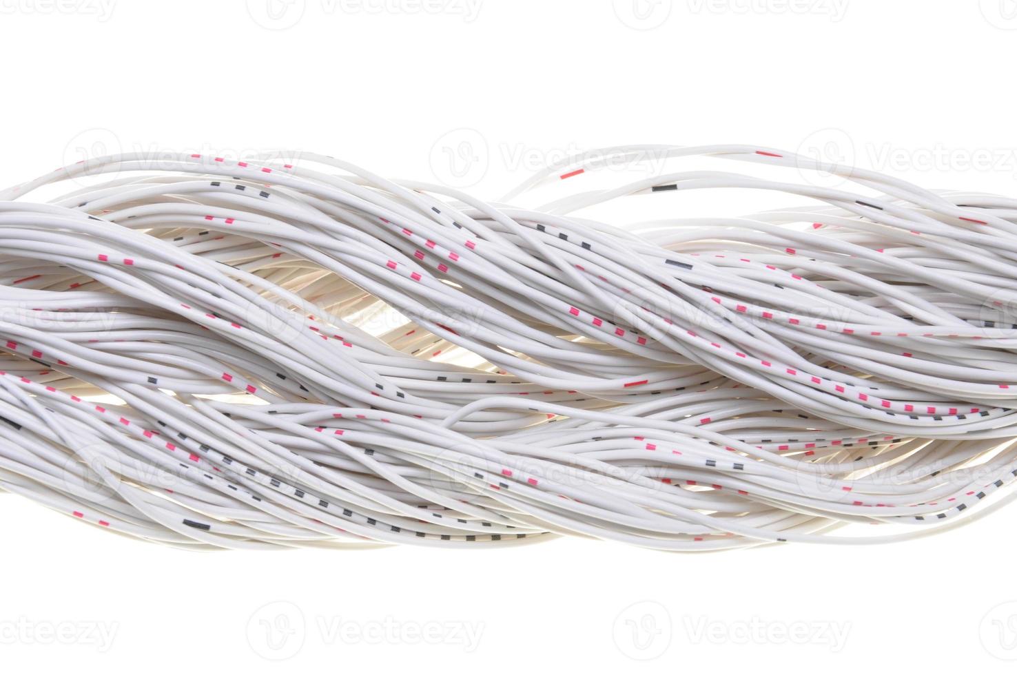 cable de red informática foto