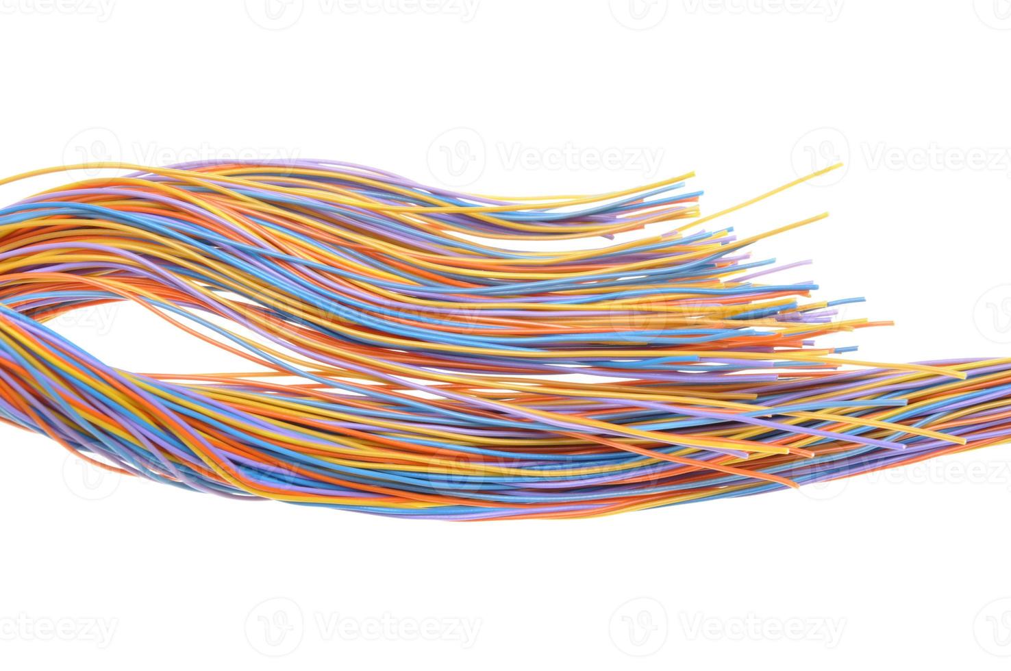 cable de red informática multicolor foto