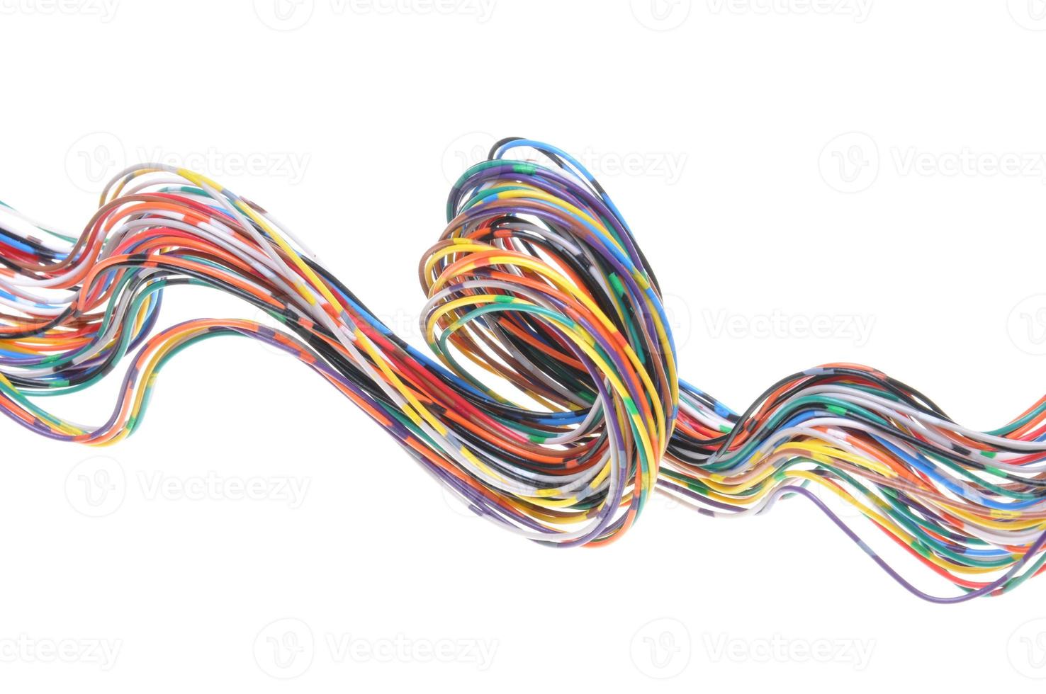cable de red informática multicolor foto