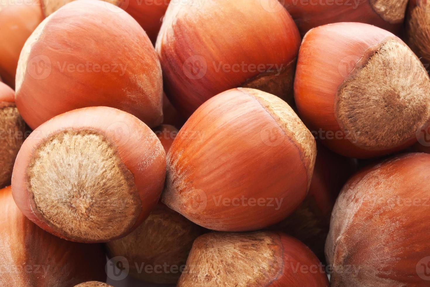 Hazelnuts or filbert photo