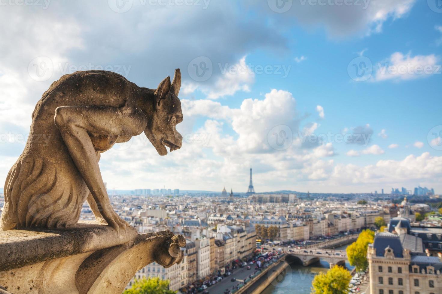 Vista aérea de París con quimera foto