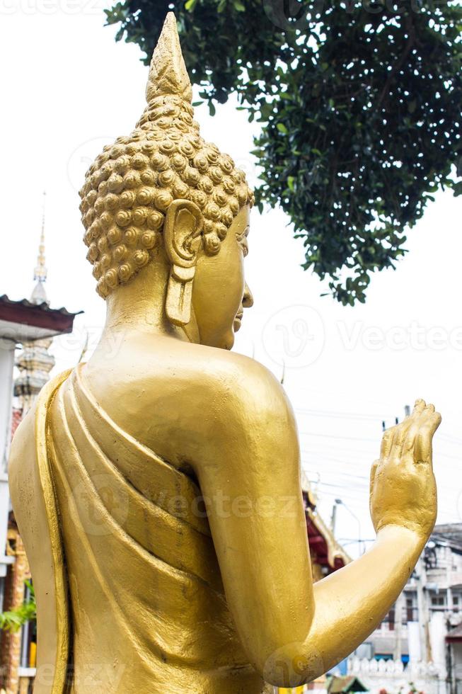 Back Standing Thai Golden Buddha statue photo