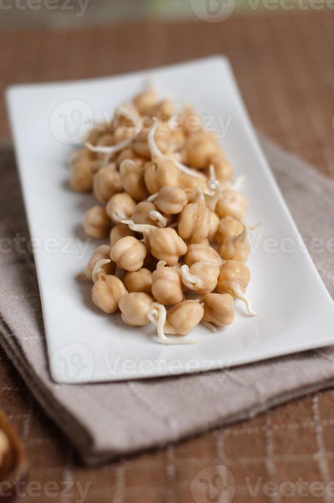 chickpea sprouts photo