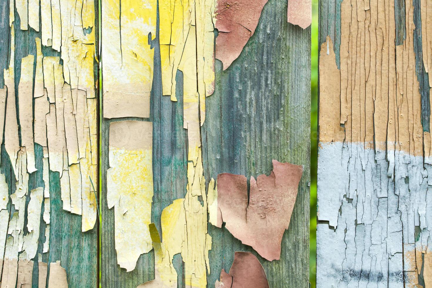 Grunge wood panels texture photo