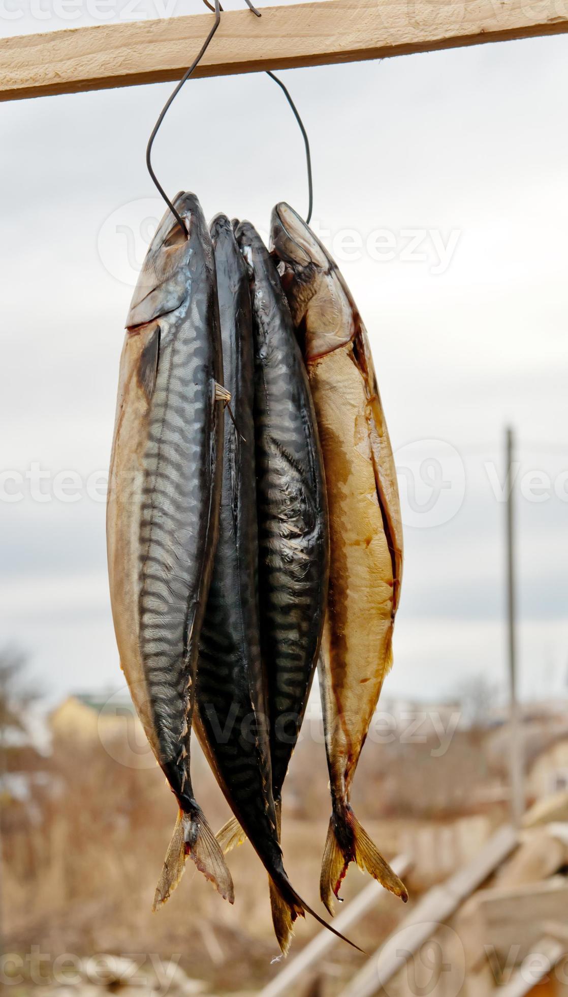 Stockfish