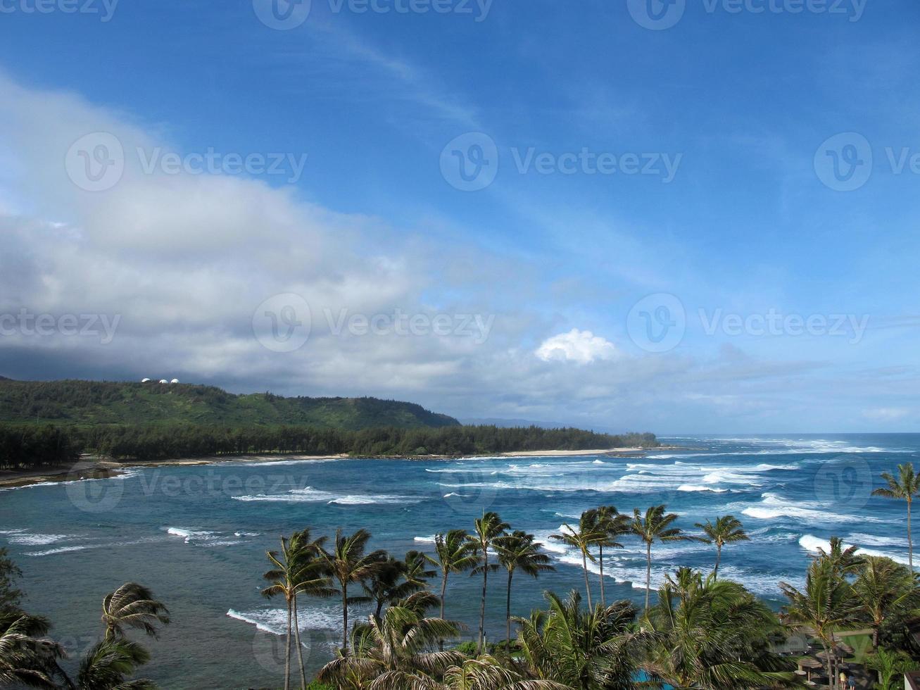 North Shore of Oahu Hawaii Pacific Ocean Palm trees photo