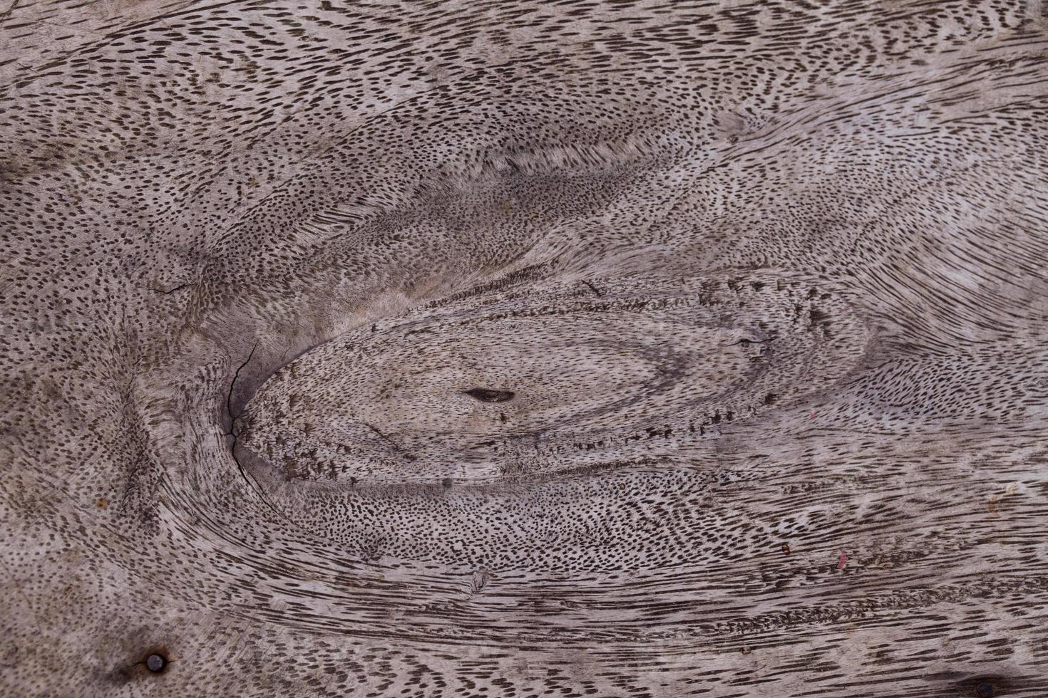 wood texture. photo