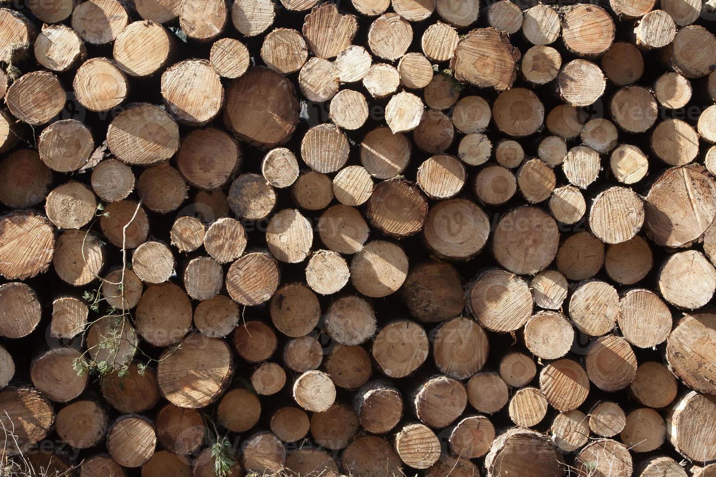 Pile of wood photo