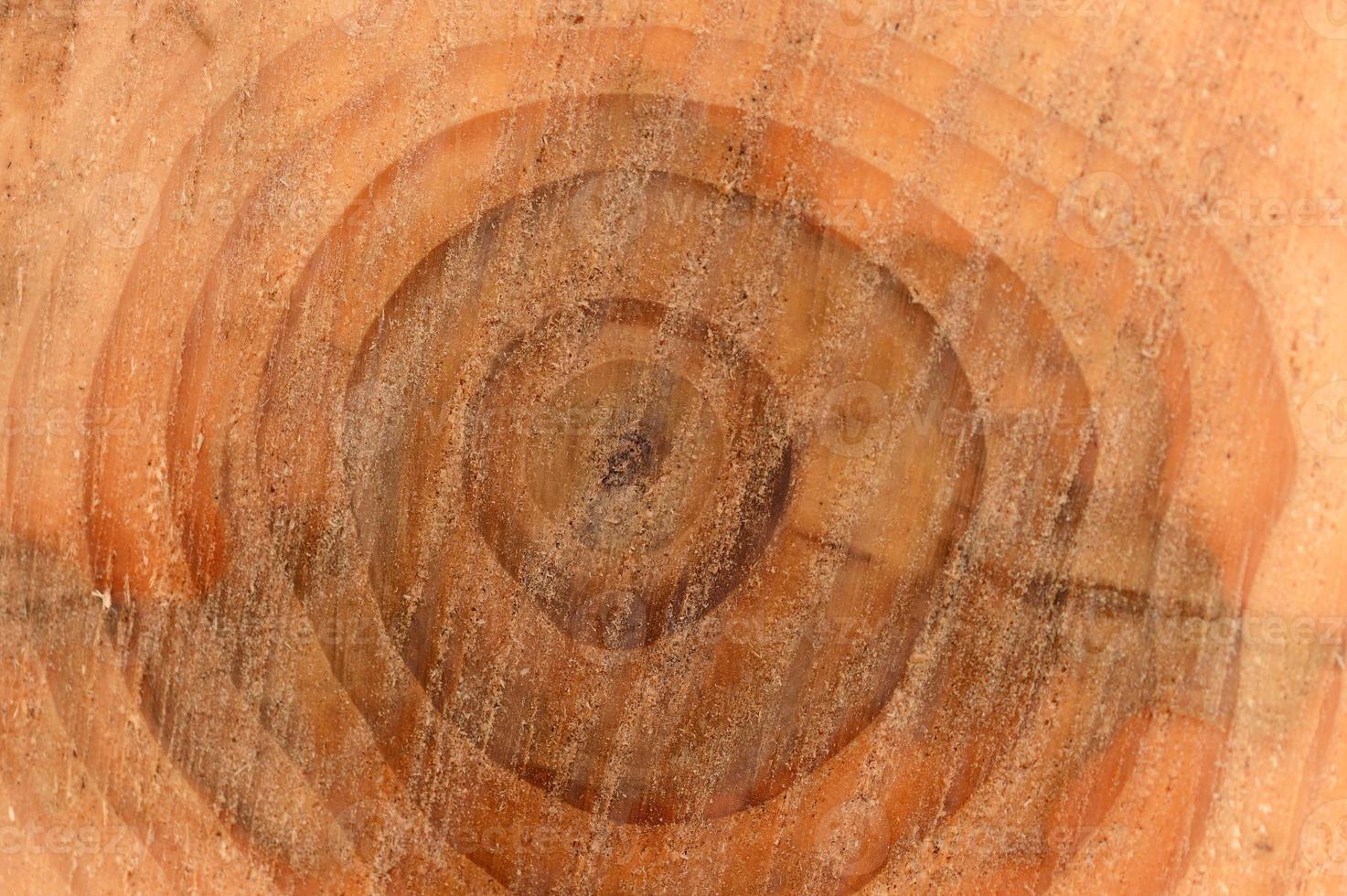 Wooden logs photo