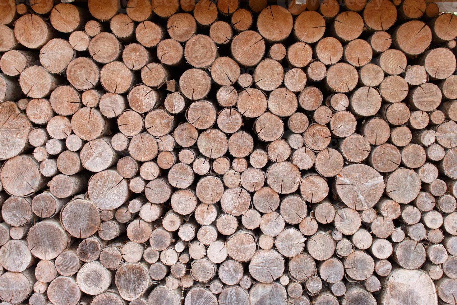 Dry chopped firewood, logs stacked photo