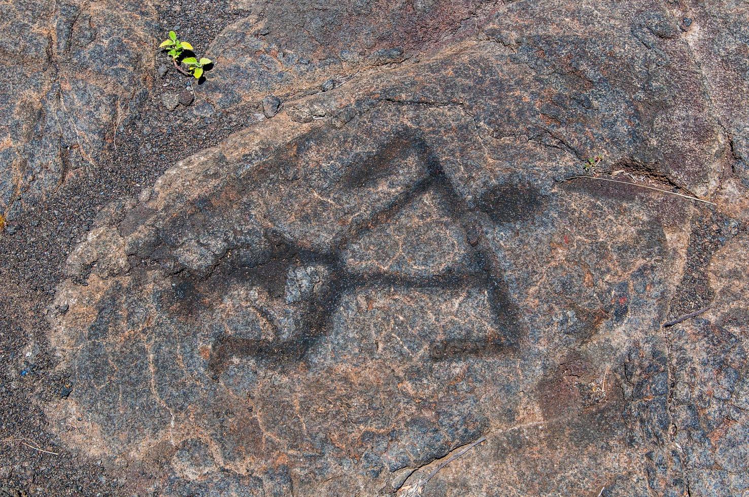 Pu u Loa rock petroglyphs on Hawaii Island photo