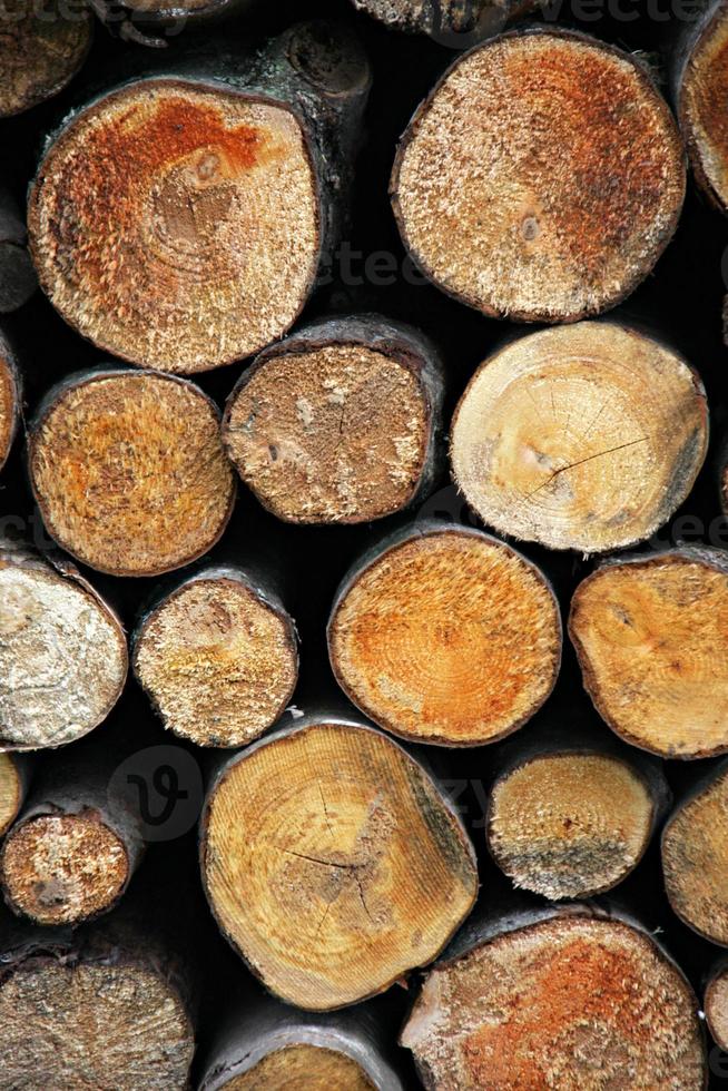 Stacked logs photo