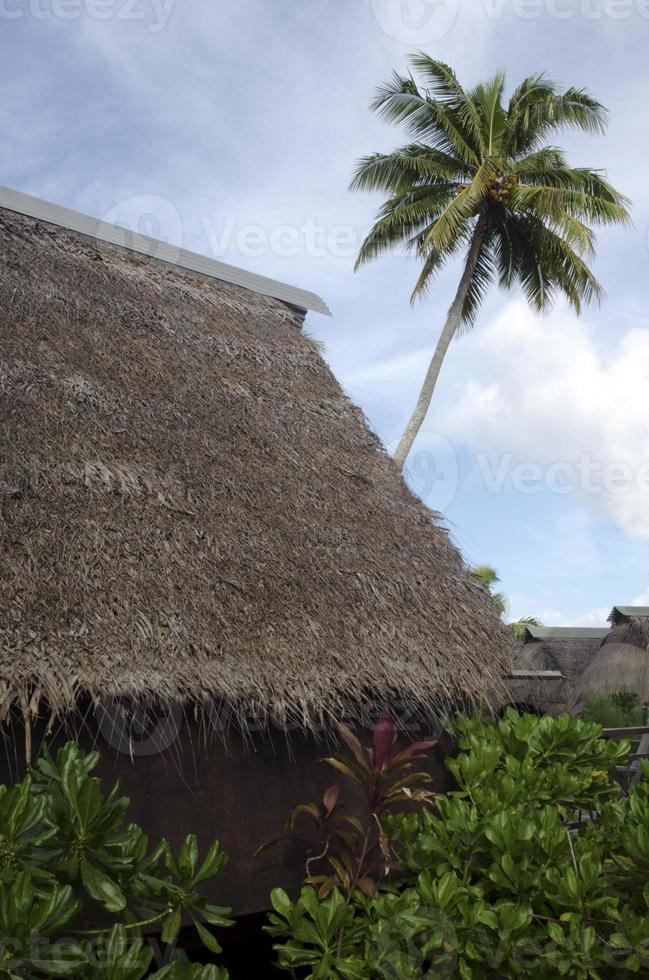 Traditional Polynesian houses in Aitutaki Lagoon Cook Islands photo