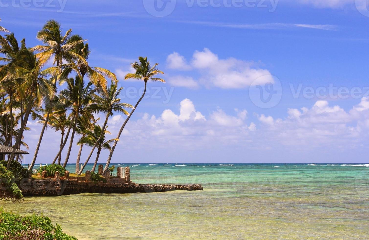 oahu hawaii océano pacífico palmera playa escénica foto