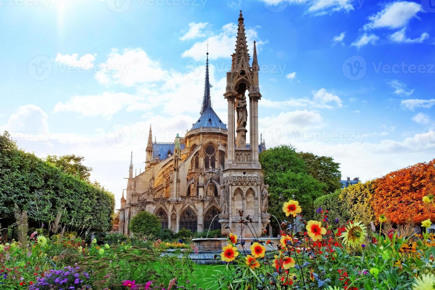 Catedral de Notre Dame de París, jardín con flores.paris. Francia foto