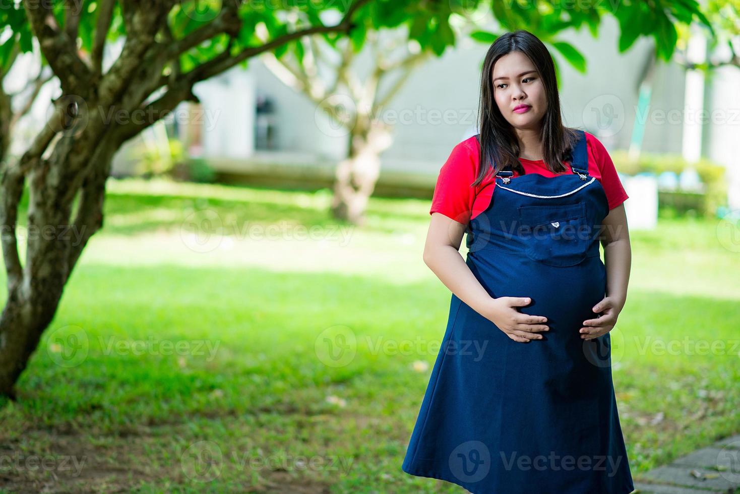Pregnancy, maternity and new family photo